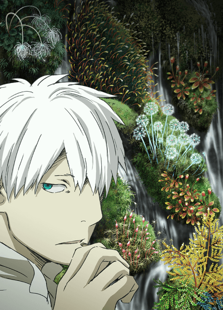 an image of Mushishi Zoku Shou 2