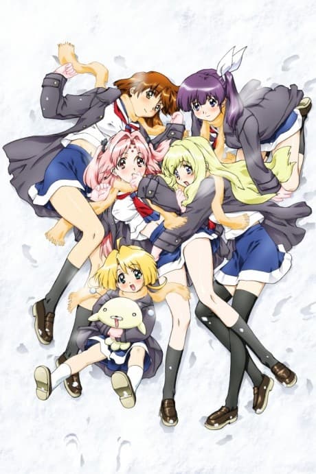 an image of GIRLS Bravo: second season